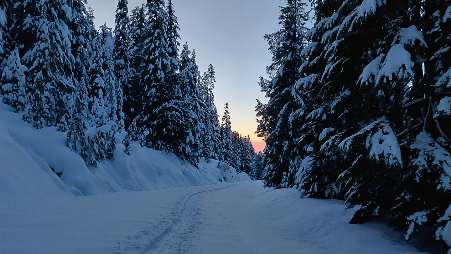 Mowich lake in winter